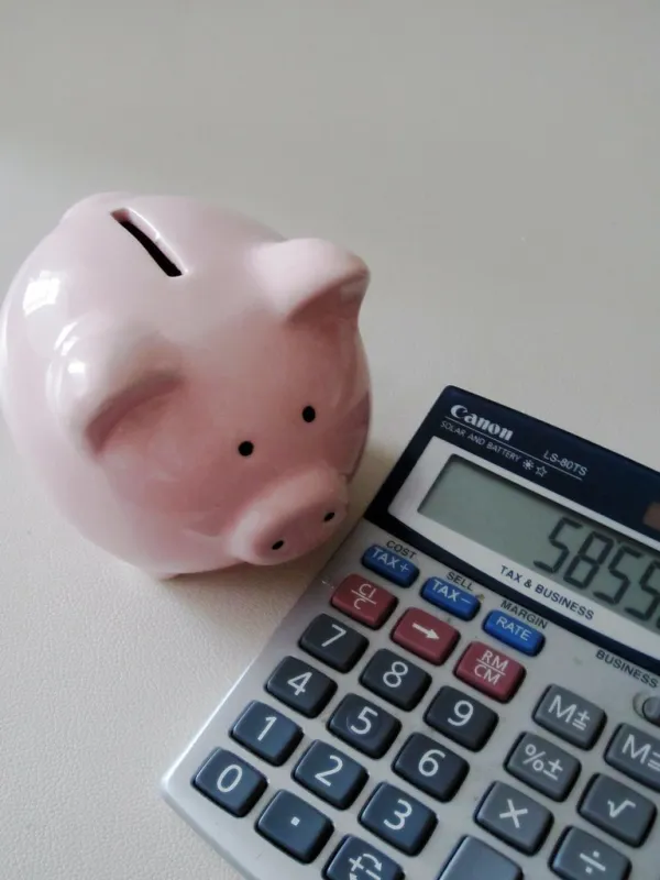 Entering The Financial Stage: Hopewell Investment Club: