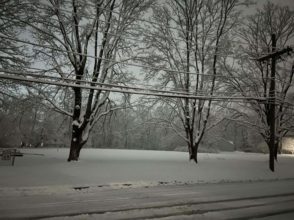 Pennington, NJ the day after the storm